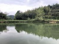 四月晨曦灵感.jpg
